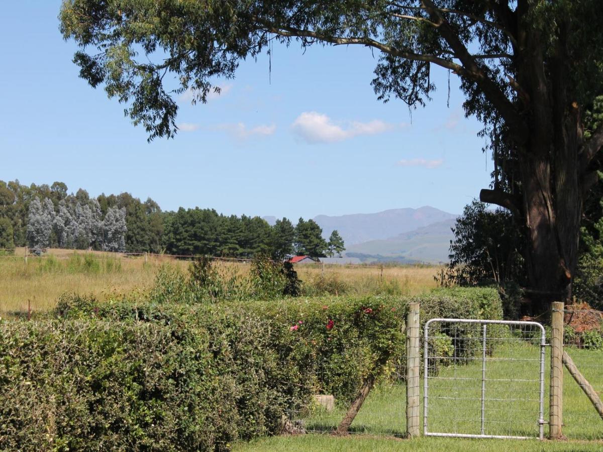 Cicada Self Catering Cottage Underberg Luaran gambar
